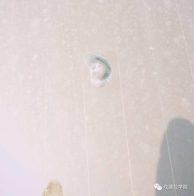 户用光伏发电应用调查报告（山西站）